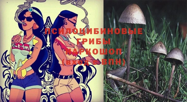 марки nbome Балахна