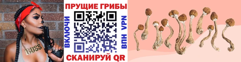 Галлюциногенные грибы прущие грибы  где найти   Билибино 
